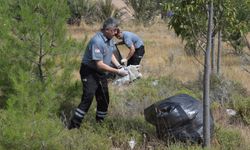 Yangınlarla mücadelede toplumsal duyarlılık için güç birliği