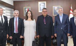 Maliye Bakanı Dr. Berova, Vodafone Türkiye ve TELSİM yetkililerini kabul etti