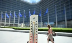 Belçika'da "sıcak hava dalgası nedeniyle yüzyılın en ölümcül 2. günü" yaşandı