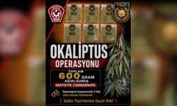 Narkotik’ten uyuşturucu tacirlerine “Okaliptus Operasyonu”: 3 tutuklu