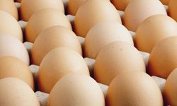 ABD'de milyonlarca yumurta salmonella şüphesiyle geri çağırıldı