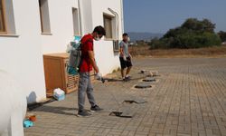 İskele ve köylerinde haşereyle mücadelede ikinci etap başladı