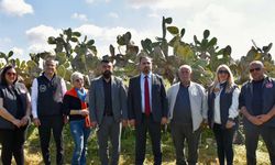 Tarım Bakanlığı: Zararlılara karşı doğal mücadelede büyük ilerleme sağlandı