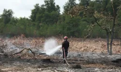 Fransa'nın Lozere vilayetinde ormanlık alanda çıkan yangında 250 hektarlık alan kül oldu