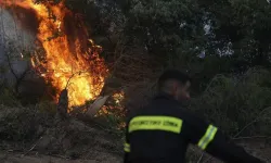 Yunanistan'da birçok bölgede orman yangınları çıktı