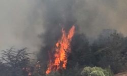 Yamaçköy-Tirmen Arasında Ormanlık Alanda Yangın