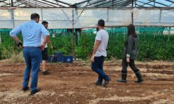 Sıla Usar İncirli: Hasar tespit çalışmaları ciddiyetle ve sonuç üretecek şekilde yapılmalı