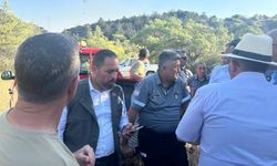 Bakan Çavuş, yangın bölgesine giderek çalışmaları takip etti