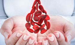 Thalassaemia Derneği’nden acil kan bağışı çağrısı
