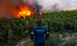 Yunanistan'ın Konitsa bölgesinde 1 haftadır süren yangında 629 hektar alan zarar gördü