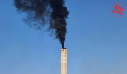 Ayer Yarkıner: Teknecik Elektrik Santrali'nde artan dumanın sebebi slaj yakıtı