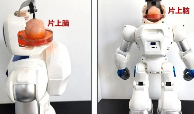 İnsan beyni ile kontrol edilen robot üretildi