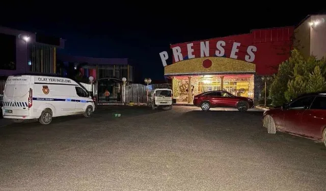 Anastasia Melega'nın trajik ölümü: İnsan ticareti ve fuhuş zorlaması iddiaları gündemde