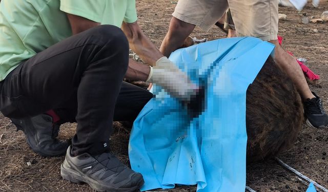 Karpaz eşekleri için ilk adım atıldı