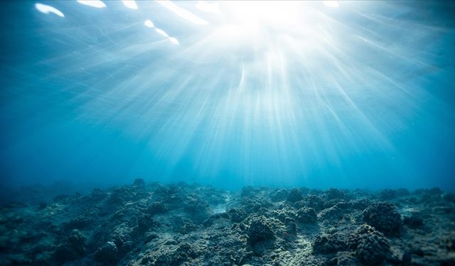Okyanuslarda ışığın ulaştığı alanların yüzde 20'sinden fazlasının azaldığı saptandı