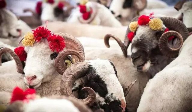 Kanser Hastalarına Yardım Derneği, kurban bağışları için çağrı yaptı