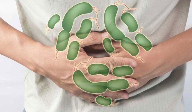 Gıda Mühendisleri Odası'ndan zehirlenmelere karşı alınması gereken önlemleri hatırlattı