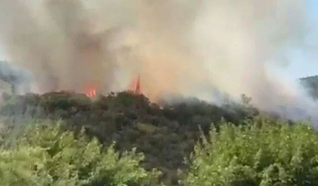 İstanbul'da orman yangını: Vatandaşlar tahliye edildi