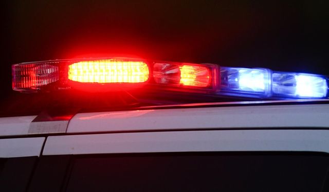 Araçtan Peynir ve Domuz Eti Çıktı