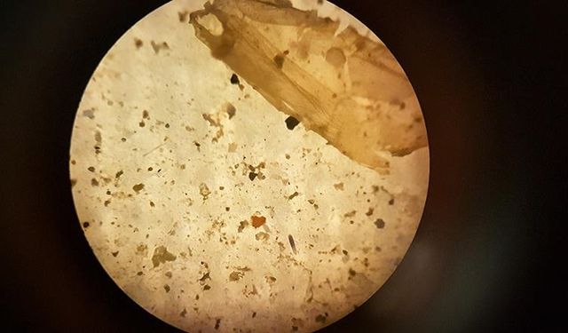 İnsanlar, günde on binlerce mikroplastik parçacığı soluyor olabilir