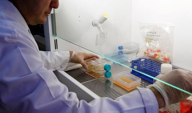 Tabipler Birliği: Prostat kanseri tedavisinde en belirleyici faktör erken tanı