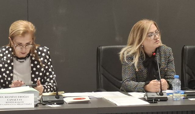 Ombudsman bütçesi oy birliğiyle kabul edildi