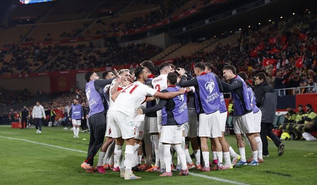 Türkiye A Milli Futbol Takımı, FIFA dünya sıralamasında bir basamak yükseldi