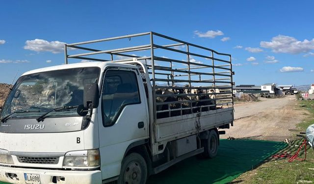 Gazimağusa’da Şap Hastalığına Karşı Önlem