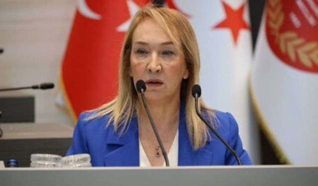 Filiz Besim: Ülkede çok rahat hastabakıcı yetiştirebiliriz