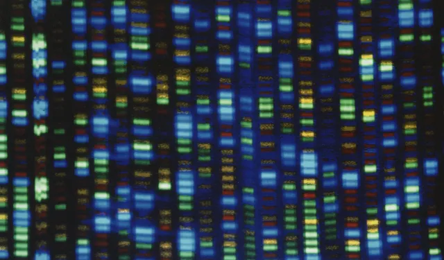 Genlerin insan ömrü üzerindeki rolü sanılandan çok daha büyük