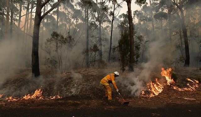 Avustralya'da aşırı sıcaklık uyarıları verilen Victoria eyaletinde yangınla mücadele sürüyor