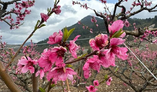 Mart 2026, dünyada kayıtlardaki en sıcak dördüncü mart ayı oldu