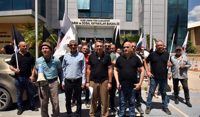 KTEZO ile Kasaplar Birliği'nden eylem..."Yerli et sübvanse edilsin"