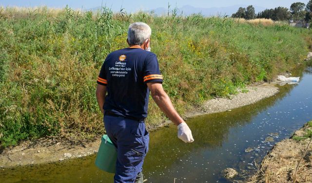 LTB, 7 Ekiple sivrisinekle etkin ve biyolojik mücadeleyi sürdürüyor