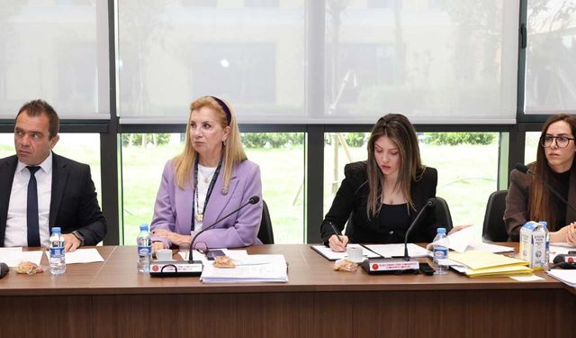 Meclis Komitesi Kamu Finansmanı Kararnamesini Genel Kurul’a Sevk Etti