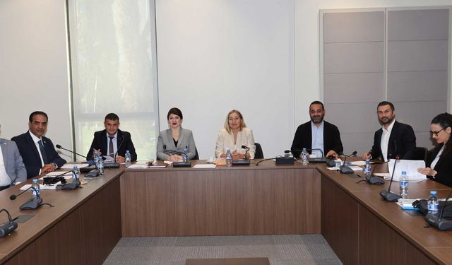 Konut Edindirme (Değişiklik) Yasası yeniden komitede