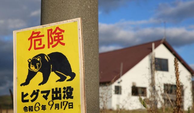 Japonya'da bir fabrikaya giren ayının "pencereyi açıp kaçtığı" düşünülüyor