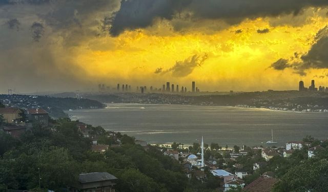 İstanbul'da fırtına: Çatılar uçtu, ağaçlar devrildi