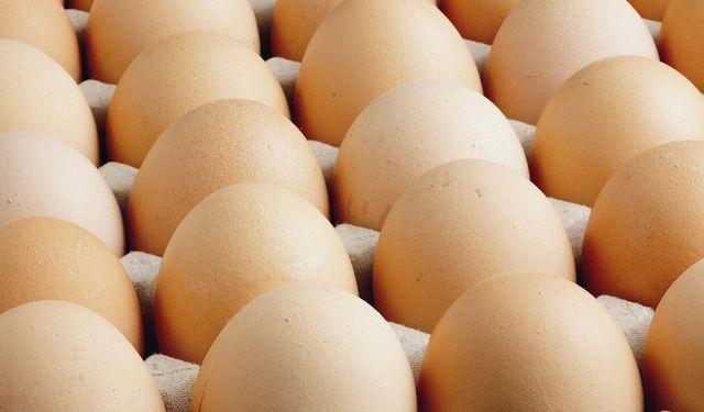 ABD'de milyonlarca yumurta salmonella şüphesiyle geri çağırıldı
