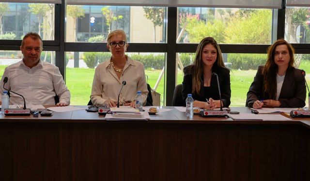 Kamu Mali Yönetimi ve Kontrol (Değişiklik) Yasa Tasarısı görüşüldü