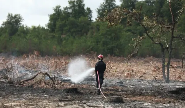 Fransa'nın Lozere vilayetinde ormanlık alanda çıkan yangında 250 hektarlık alan kül oldu