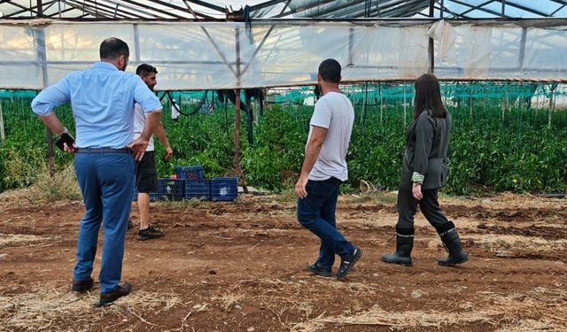 Sıla Usar İncirli: Hasar tespit çalışmaları ciddiyetle ve sonuç üretecek şekilde yapılmalı