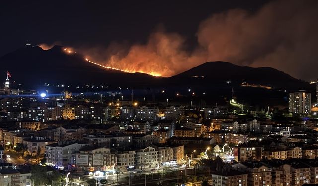 Ankara'da ağaçlık alanda çıkan yangına müdahale ediliyor