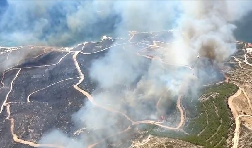 Çeşme’de orman yangını rüzgarın etkisiyle hızla yayılıyor... Bazı evler tahliye edildi