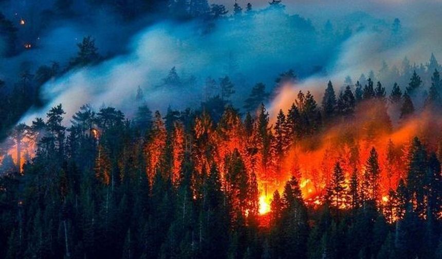 Fransa'nın güneydoğusunda yangınlarla mücadele sürüyor