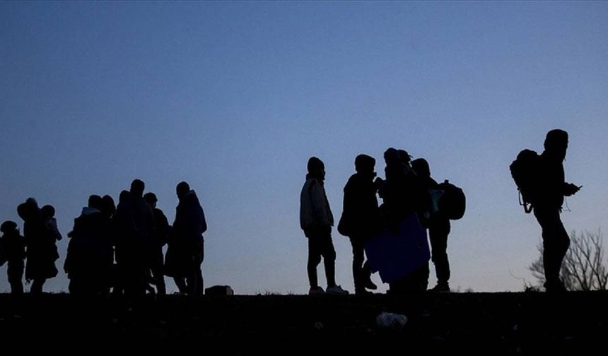 Güney Kıbrıs'ta siyasi iltica başvurularında rekor düşüş