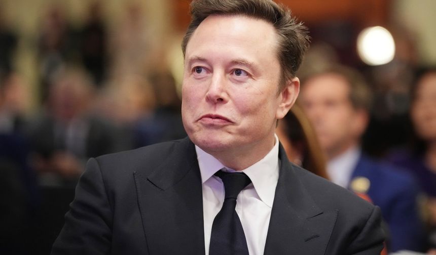 Elon Musk: Almanya'yı sadece AfD kurtarabilir