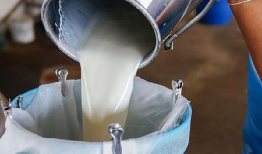 SÜTEK: Standartlara uymayan süt imalatta kullanılmadı