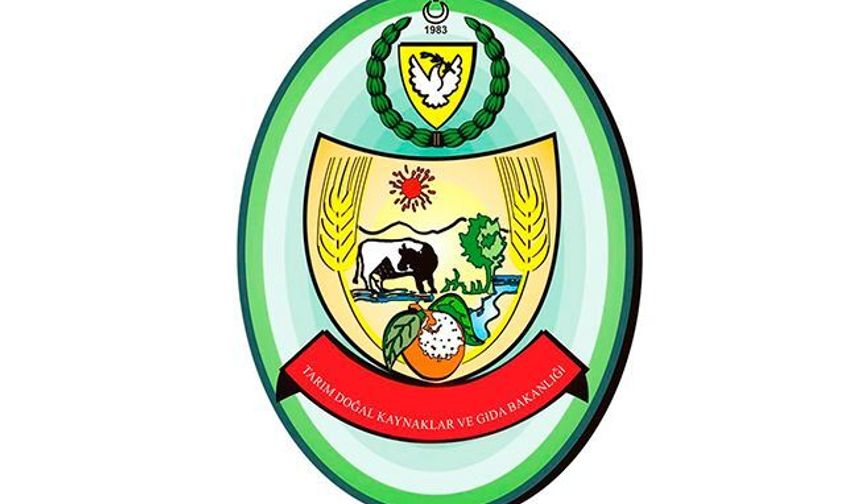 İçme Suyu Projesi bağlantı hatlarında ilerleme… Dört depoya su akışı sağlandı