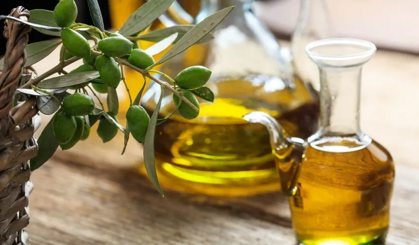 Zeytinyağı denetim sonuçlarında tağşişe rastlanmadı